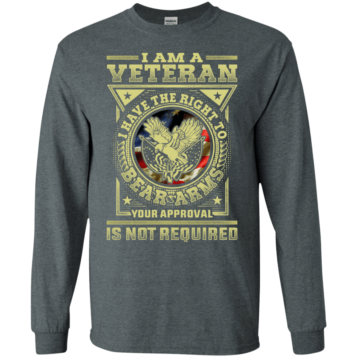 Military T-Shirt "Veteran Have the Right To Bear Arms Men" Front-TShirt-General-Veterans Nation