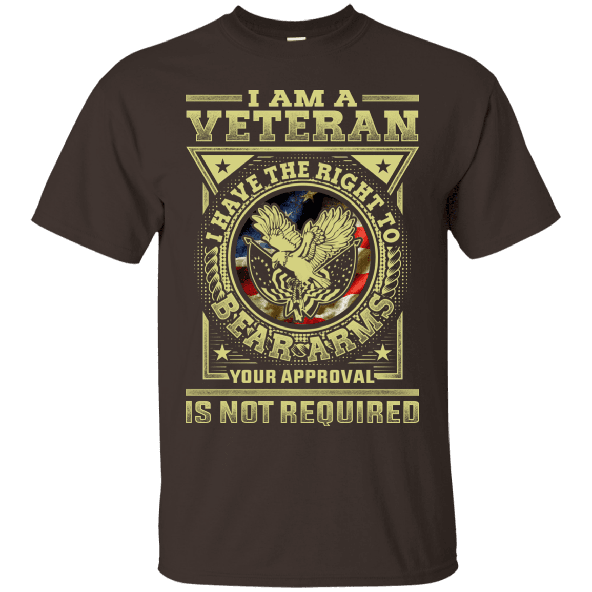 Military T-Shirt "Veteran Have the Right To Bear Arms Men" Front-TShirt-General-Veterans Nation